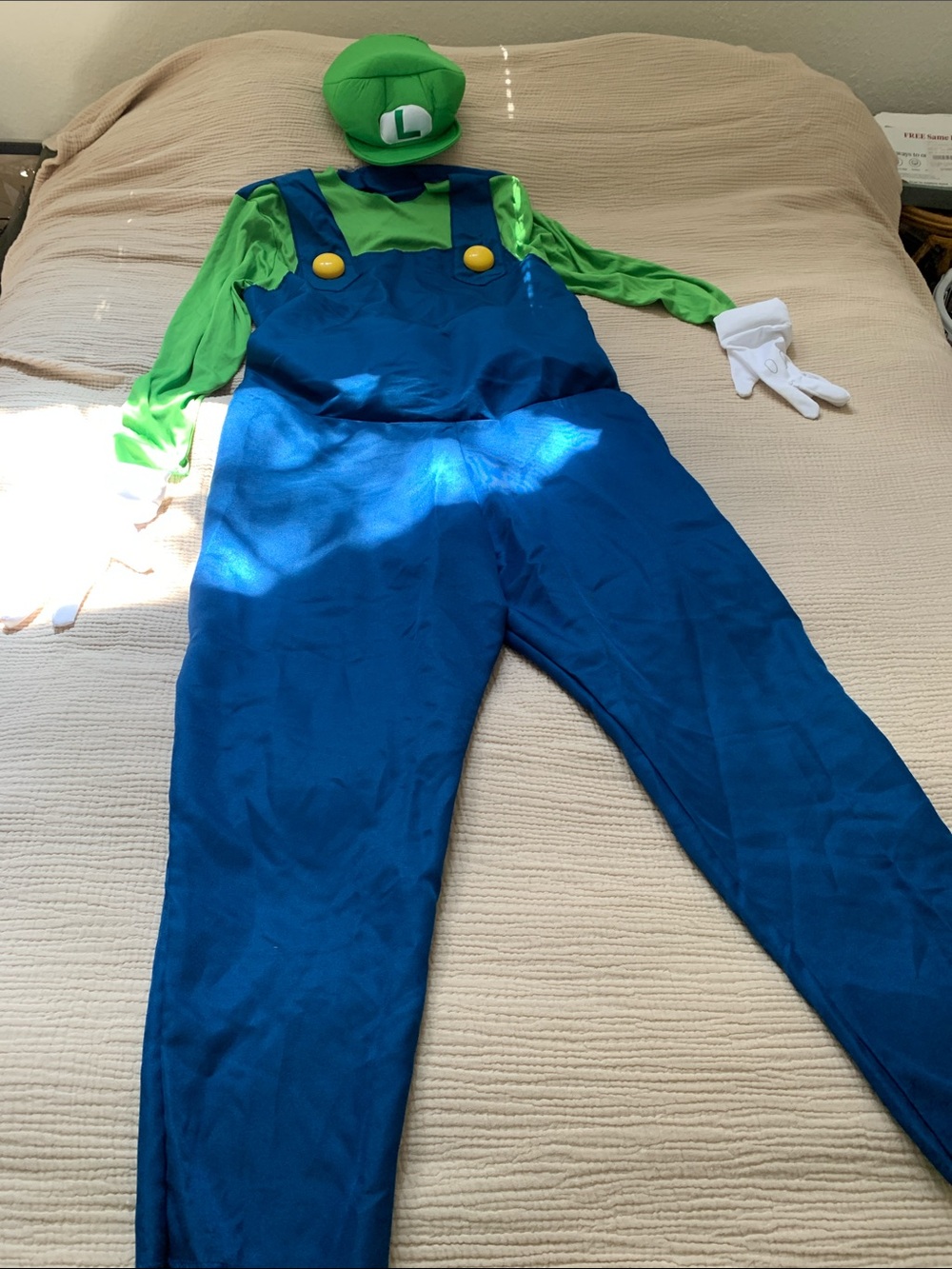Super Mario Brothers Luigi Adults Costume - Green & Blue